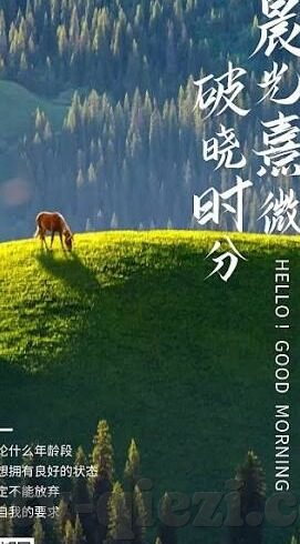 大象传媒社区-大象传媒社区，构建文化交流的桥梁