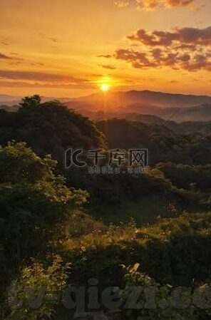 大象传媒下载汅api下载-探索大象传媒与汅API下载，数字时代的文化传播新视角