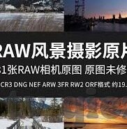 麻豆91视频-麻豆91视频，是非之惑与网络伦理的深度思考