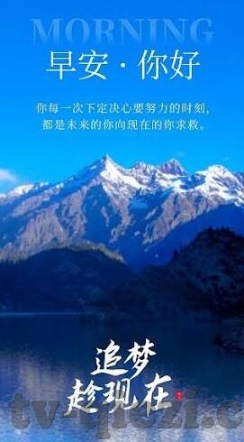 麻豆app02tv-的双重属性