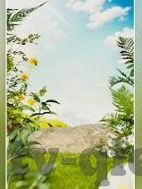麻豆传媒网站-远离灰色地带，理性审视网络内容选择与影响