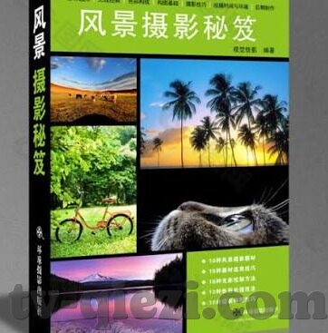 麻豆视频网站在线观看-麻豆视频，一场视听的盛宴与文化的交错
