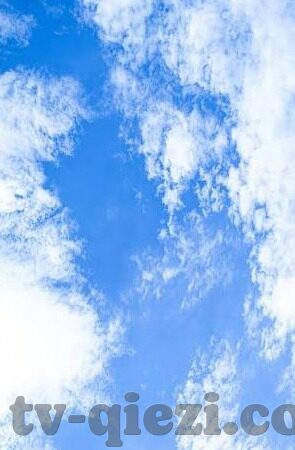免费人妻无码不卡中文字幕系-探索网络世界的多元视角，免费人妻题材的影视内容与文化边界