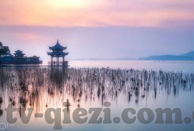 人妻毛片a一级毛片-人妻毛片a一级毛片，网络世界的灰色地带与道德反思