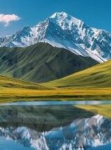 糖心app免费版下载-糖心APP，探索视频分享的趣味之旅
