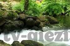 糖心vlog是啥?-探索糖心Vlog，记录生活的一抹甜蜜