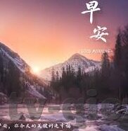 vlogcom糖心官网入口-解锁潮生活新范式，探索Vlogcom糖心官网入口的多元魅力